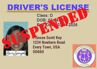A close-up of a driver's license Description automatically generated