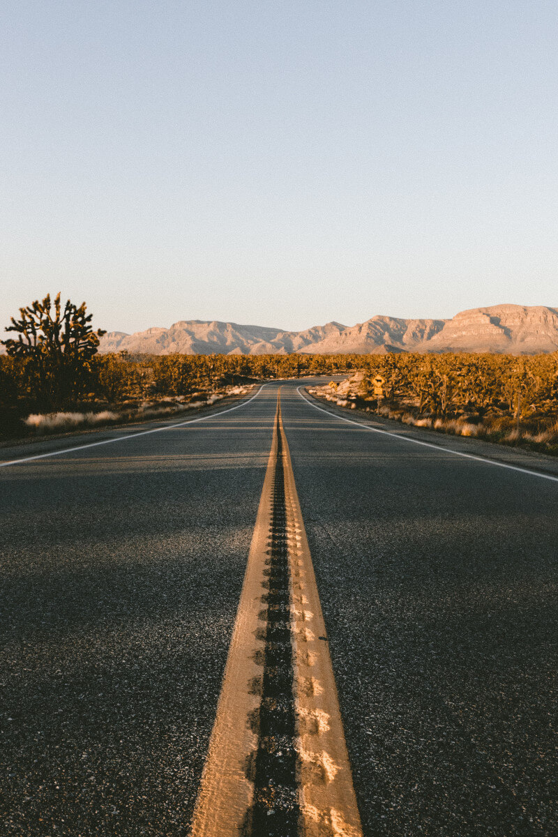 Las Vegas Highway