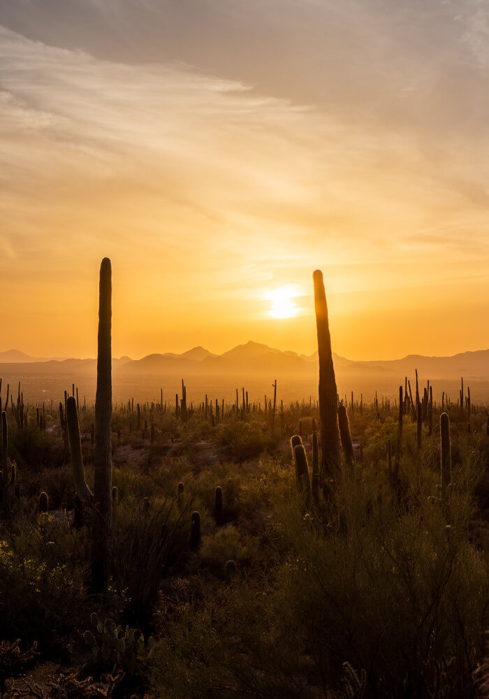 Tucson DUI Attorney
